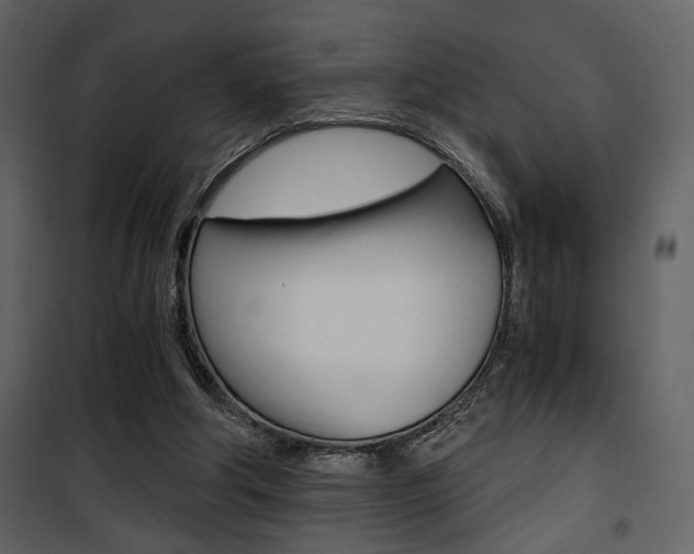 X0000101950202200807171141