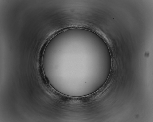 X0000101950203200807171141