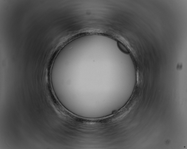 X0000101950205200807171141