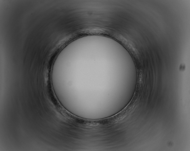 X0000101950206200807171141