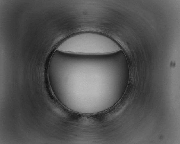 X0000101950207200807171141