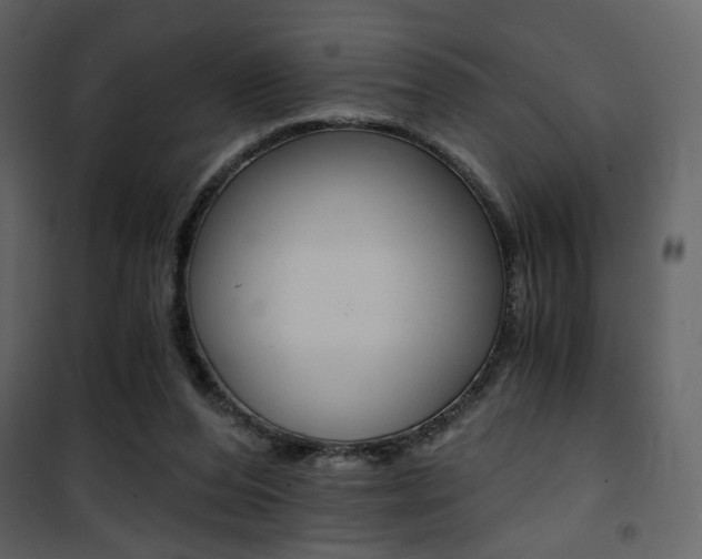 X0000101950208200807171141