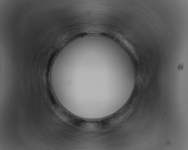 X0000101950209200807171141