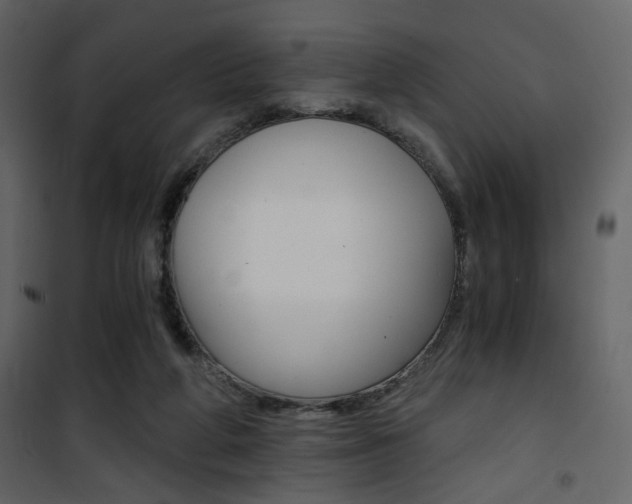 X0000101950210200807171141