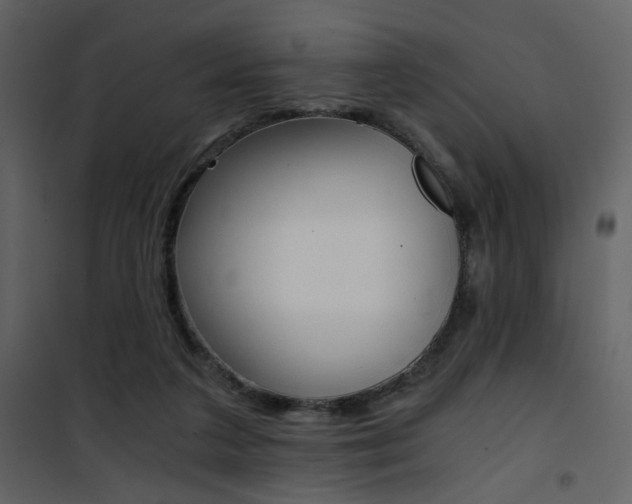 X0000101950211200807171141