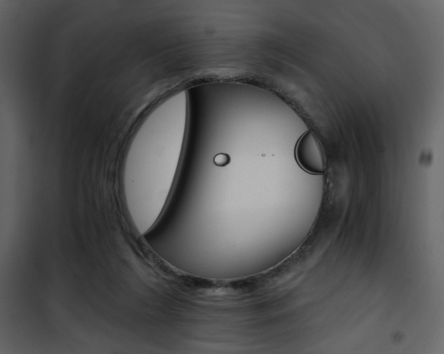 X0000101950212200807171141