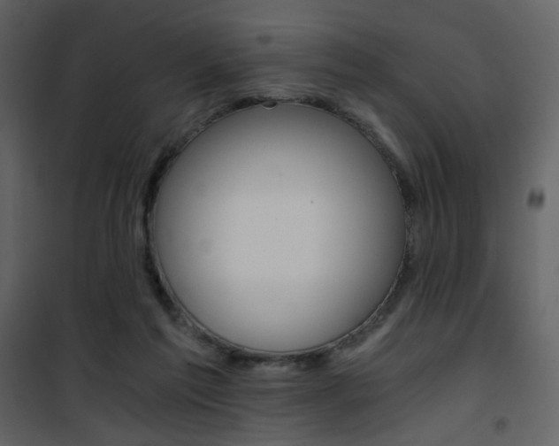 X0000101950213200807171141