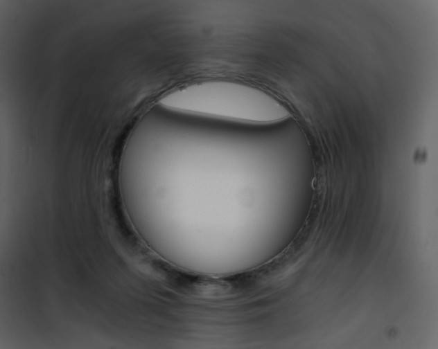 X0000101950215200807171141