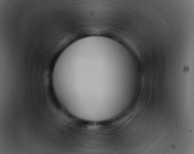 X0000101950216200807171141