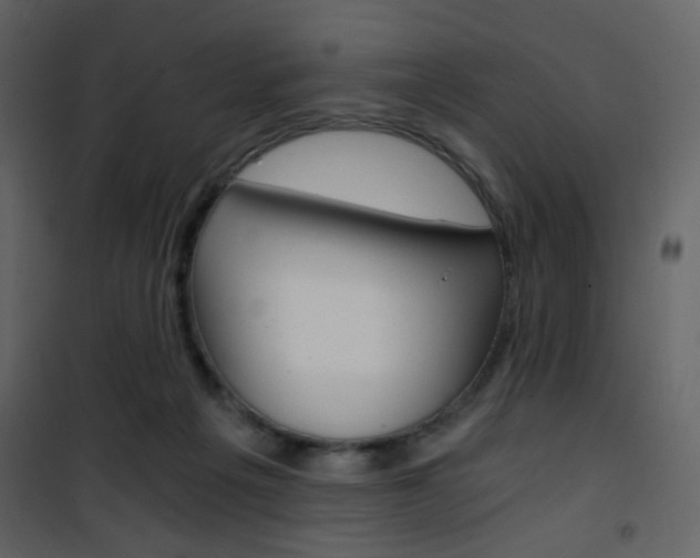 X0000101950217200807171141