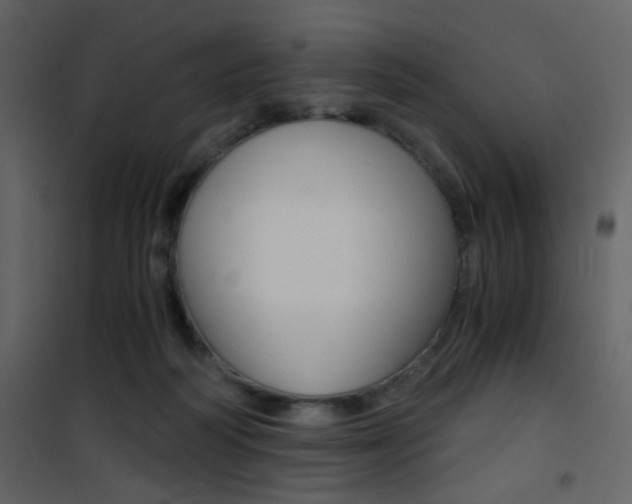 X0000101950218200807171141