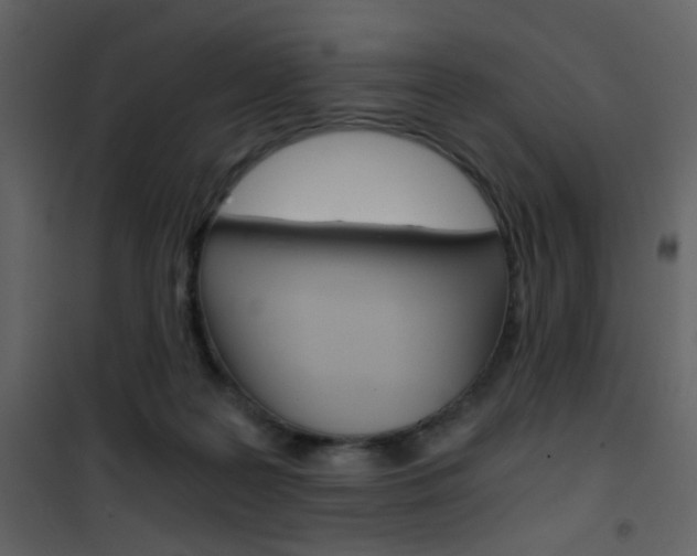 X0000101950219200807171141
