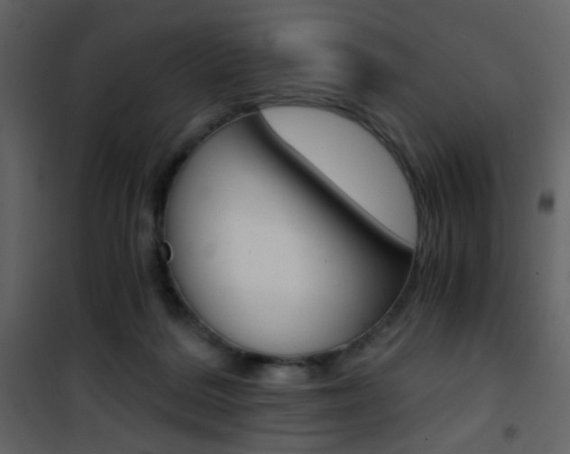 X0000101950220200807171141