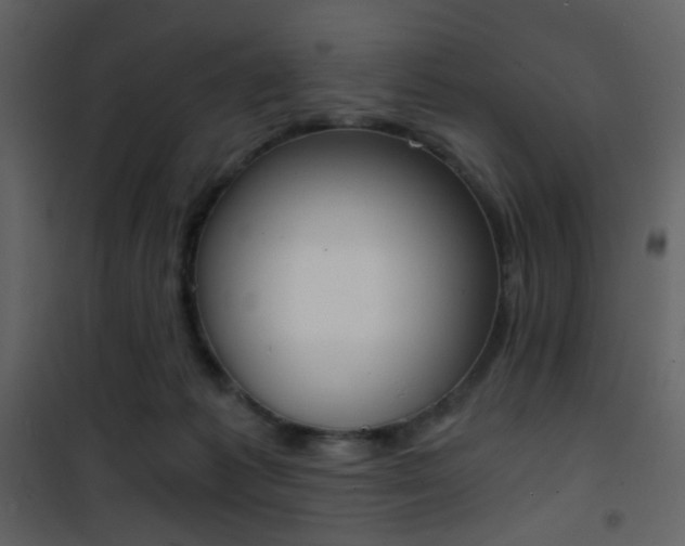 X0000101950221200807171141