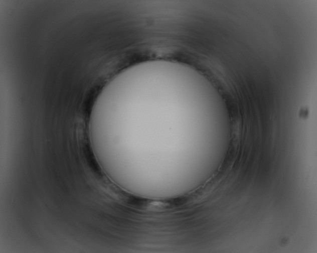 X0000101950222200807171141