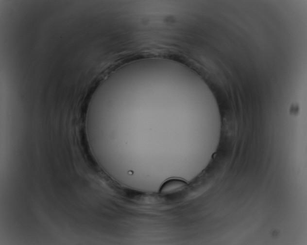 X0000101950223200807171141