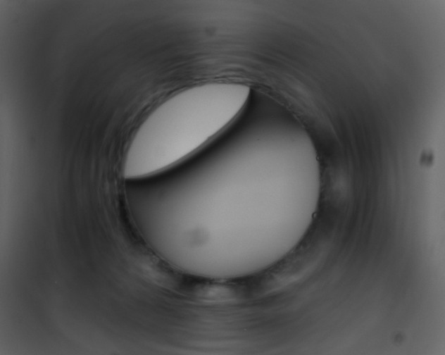 X0000101950224200807171141