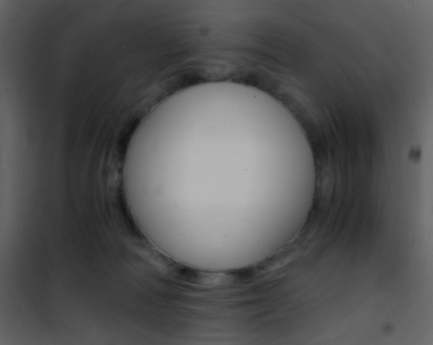 X0000101950226200807171141