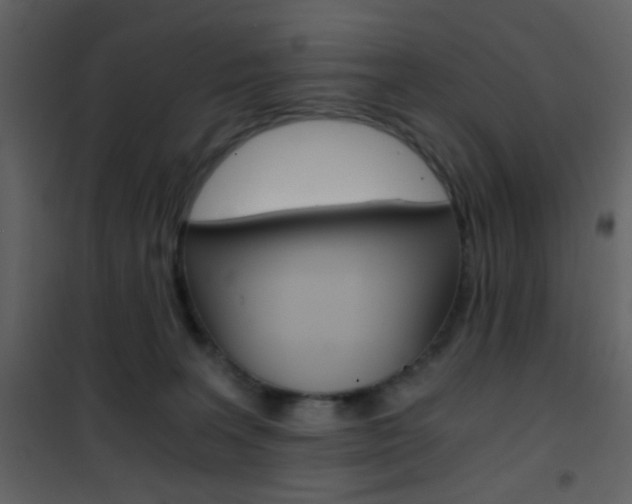 X0000101950227200807171141