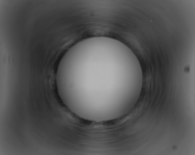 X0000101950228200807171141