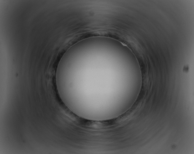 X0000101950229200807171141
