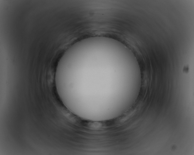X0000101950230200807171141