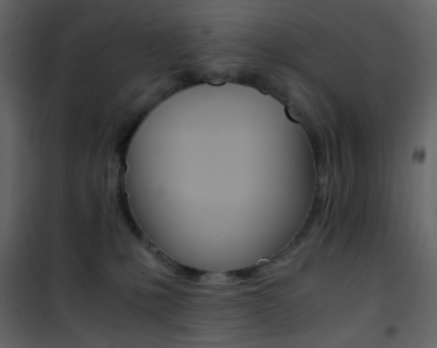 X0000101950231200807171141