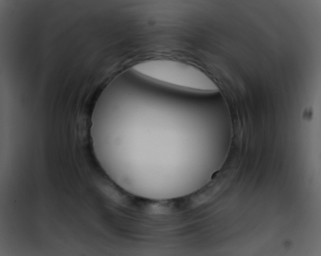 X0000101950232200807171141