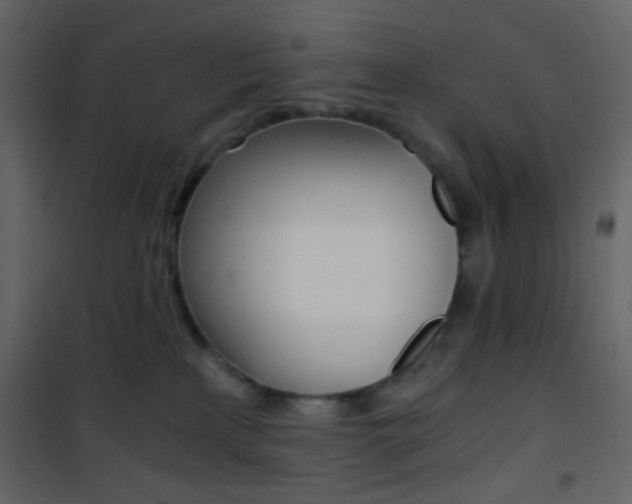 X0000101950233200807171141
