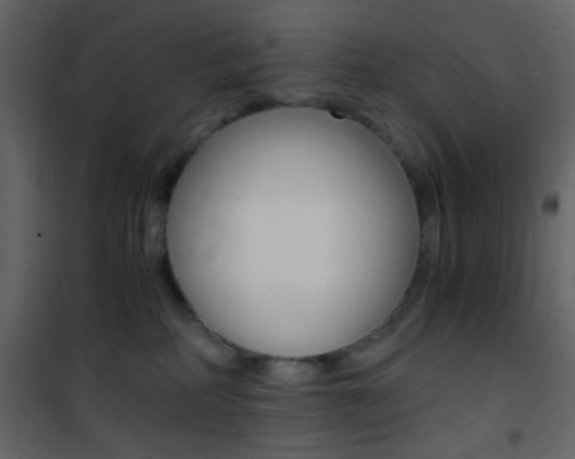 X0000101950234200807171141
