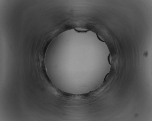 X0000101950235200807171141