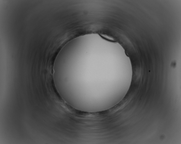 X0000101950236200807171141