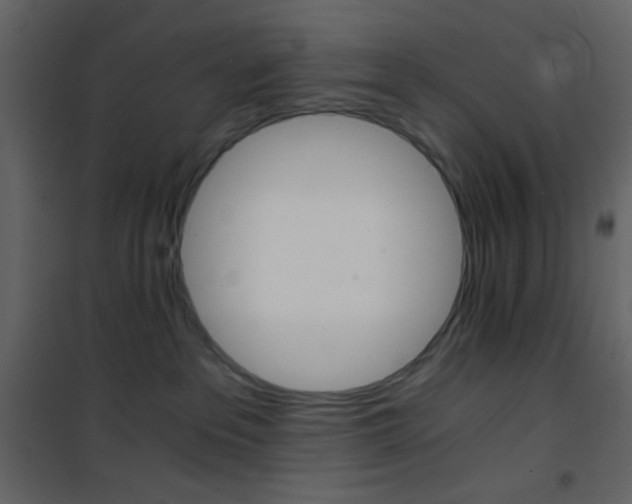 X0000101950237200807171141