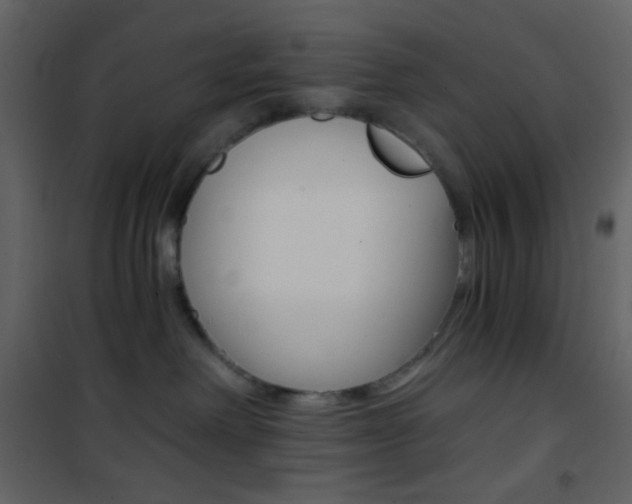 X0000101950238200807171141