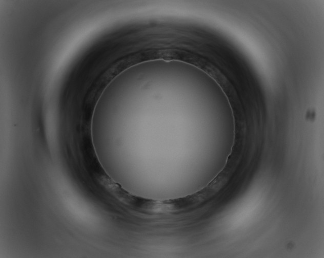 X0000101950239200807171141