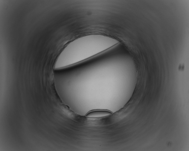 X0000101950240200807171140