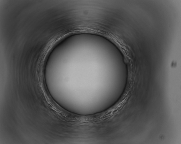 X0000101950241200807171140