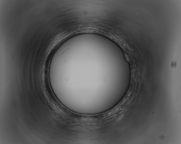 X0000101950242200807171140