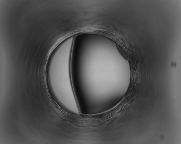 X0000101950244200807171140