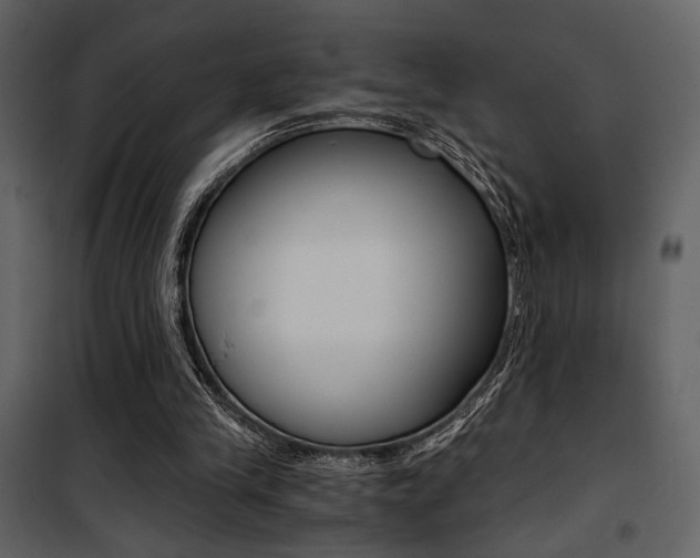 X0000101950245200807171140
