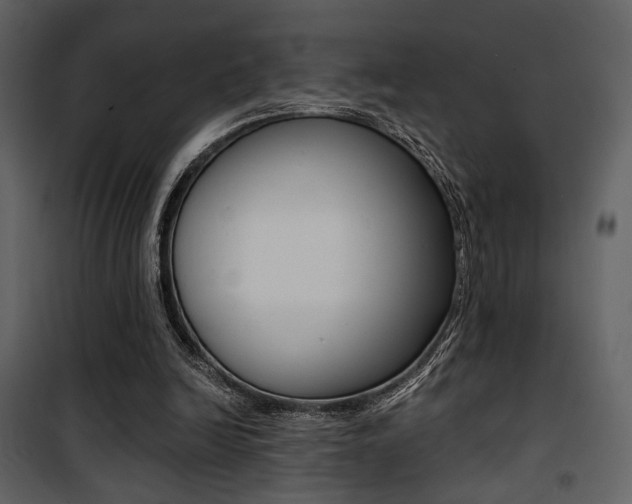 X0000101950246200807171140