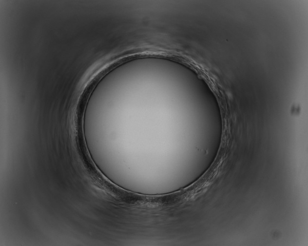 X0000101950247200807171140