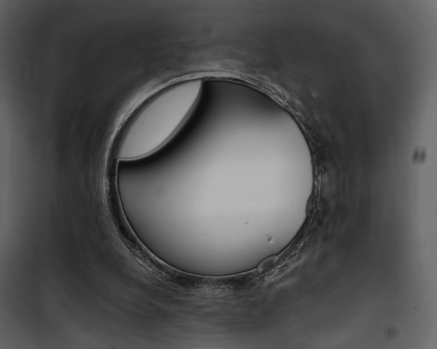 X0000101950248200807171140