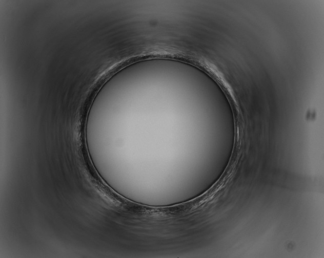X0000101950249200807171140