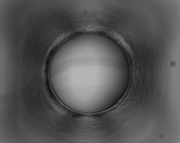 X0000101950250200807171140