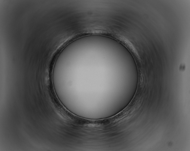 X0000101950251200807171140
