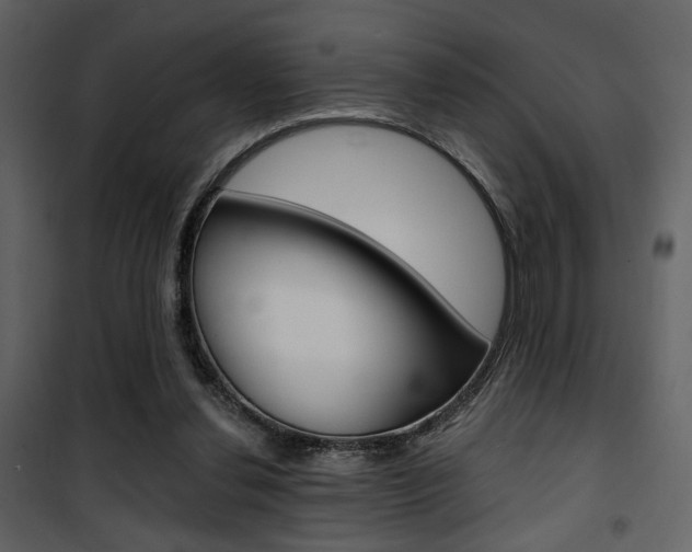 X0000101950252200807171140