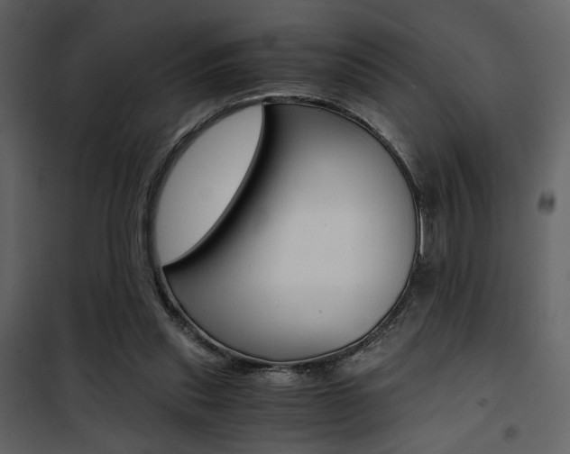 X0000101950253200807171140
