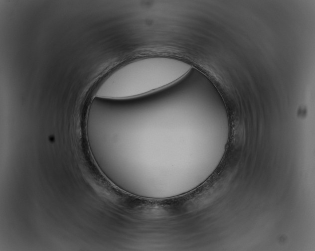 X0000101950254200807171140