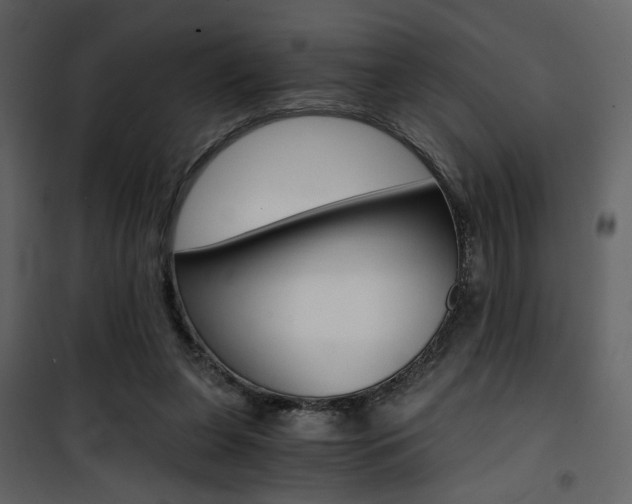 X0000101950255200807171140